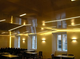Decke und Wandverkleidung 007