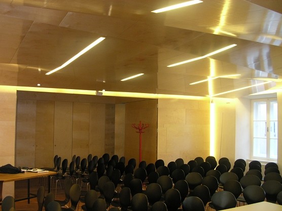Decke und Wandverkleidung 008