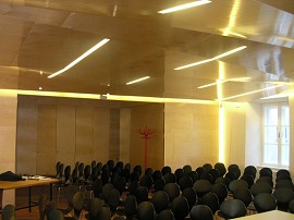 Decke und Wandverkleidung 008