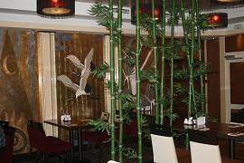 IMG_7333